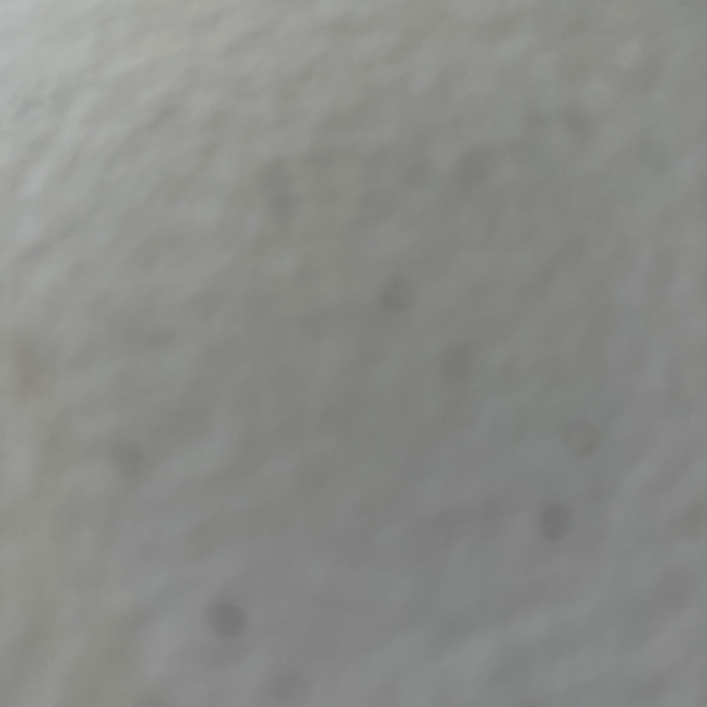 Heel Size 7.5 Black Open Toe Shoe